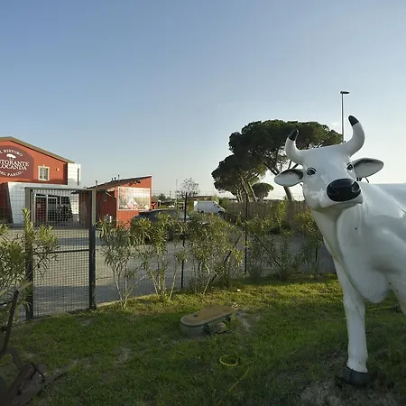 La Bottega Del Parco Szálloda Pisa